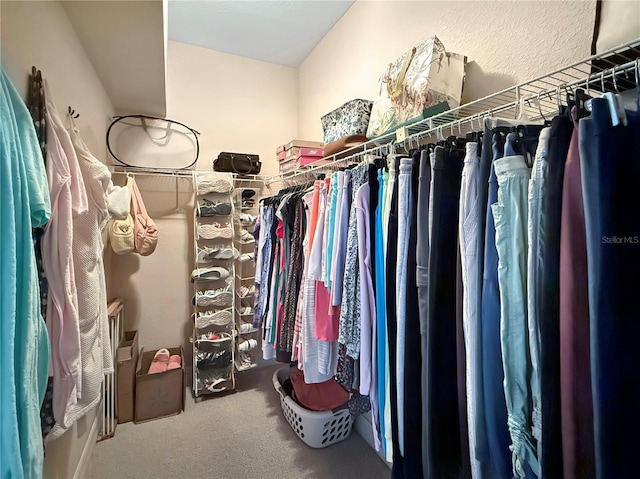 walk in closet with carpet floors