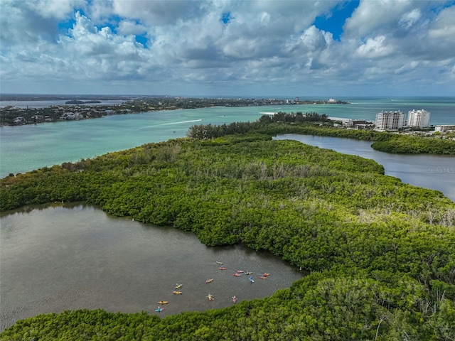 bird's eye view with a water view