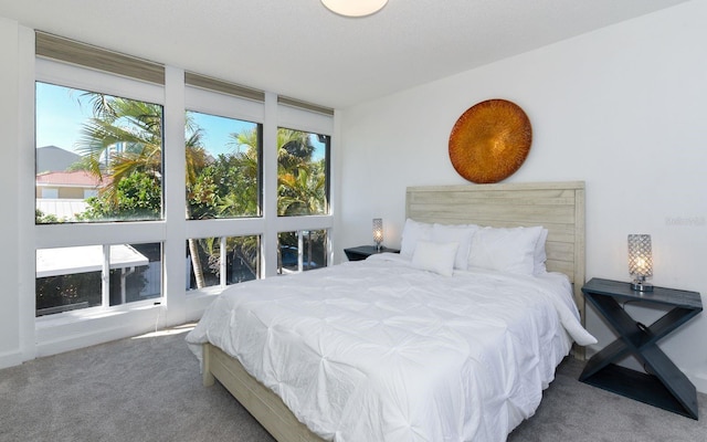 bedroom with carpet floors