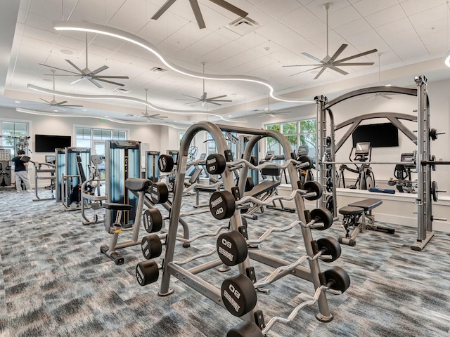 exercise room featuring plenty of natural light, a raised ceiling, and carpet flooring