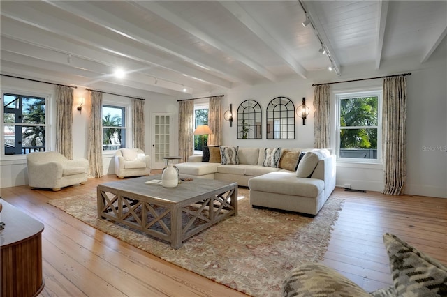 living room featuring beam ceiling, a healthy amount of sunlight, track lighting, and light hardwood / wood-style floors