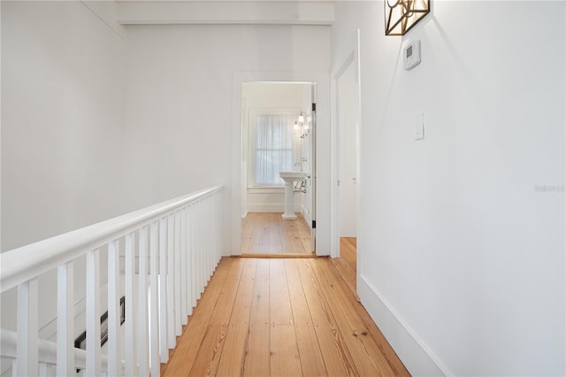 corridor with hardwood / wood-style flooring and a notable chandelier