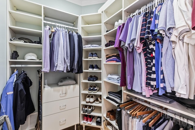 view of spacious closet