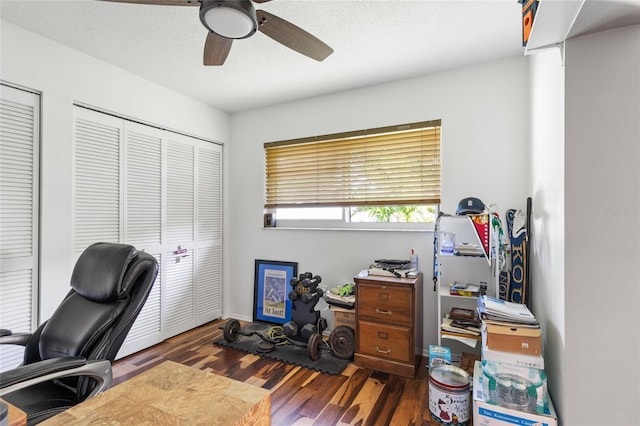 office area featuring ceiling fan, dark hardwood / wood-style flooring, and a textured ceiling