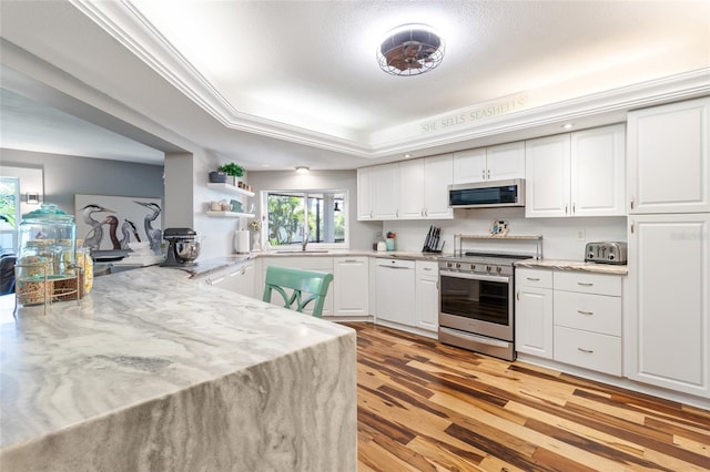 kitchen with a raised ceiling, white cabinetry, and appliances with stainless steel finishes