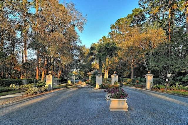 view of street with a gated entry, curbs, and a gate