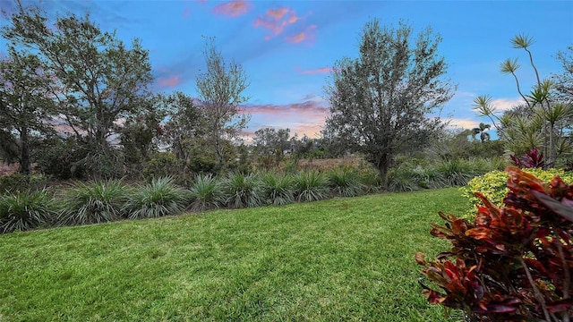 view of yard at dusk