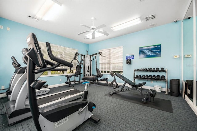 gym featuring ceiling fan, a healthy amount of sunlight, and carpet floors