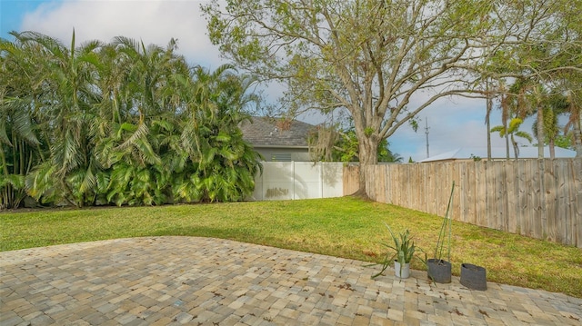 view of yard with a patio area and a fenced backyard