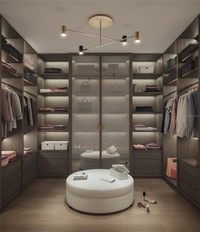 walk in closet with wood-type flooring