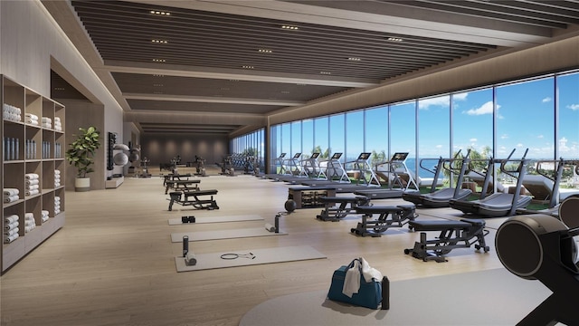 workout area with floor to ceiling windows and light hardwood / wood-style flooring