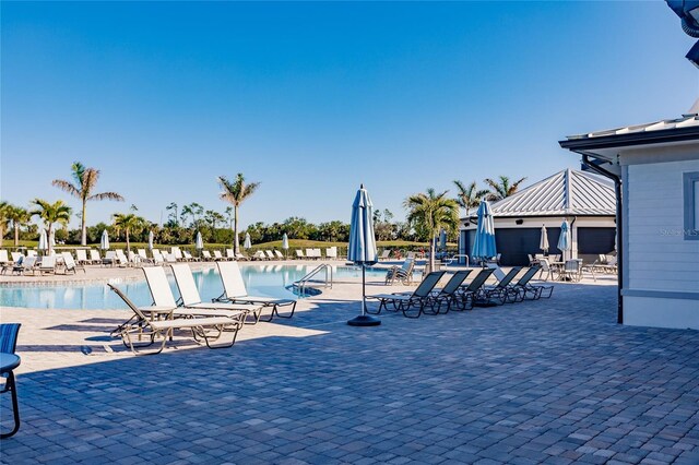 view of pool with a patio area