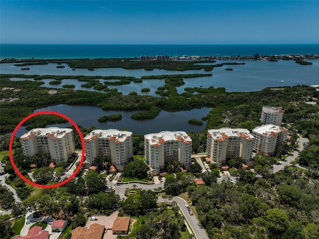 aerial view with a water view