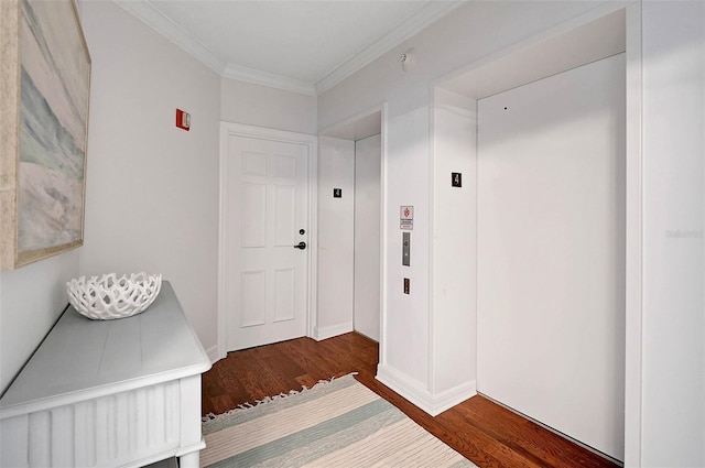 hall featuring dark wood-type flooring, elevator, and ornamental molding