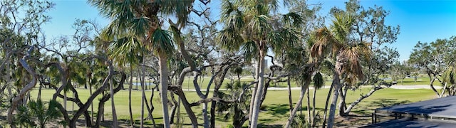 view of property's community featuring a yard