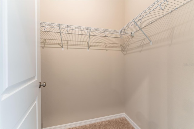 spacious closet with carpet flooring