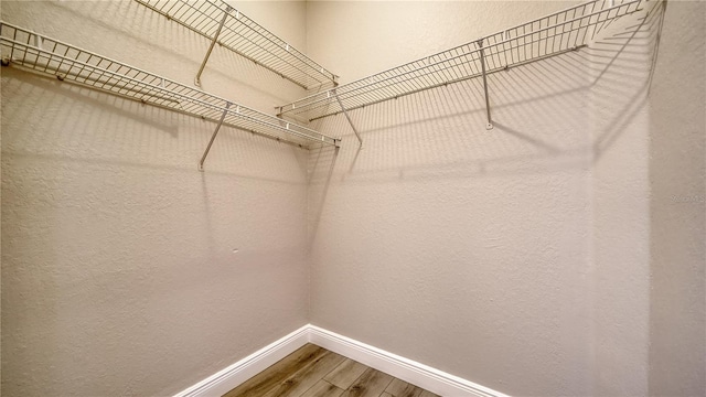 spacious closet with wood-type flooring