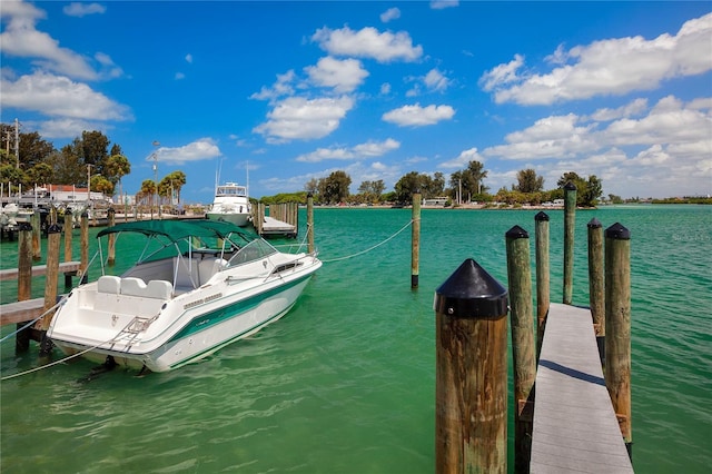 dock area with a water view