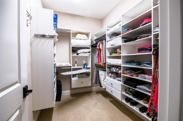 spacious closet with light carpet