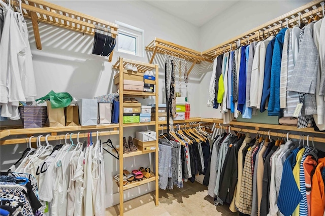 view of spacious closet