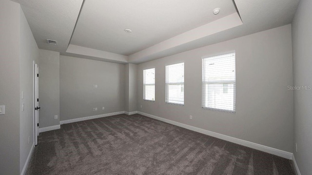 carpeted empty room featuring a raised ceiling