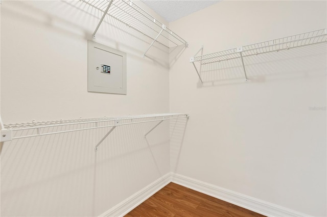 spacious closet featuring electric panel and hardwood / wood-style floors