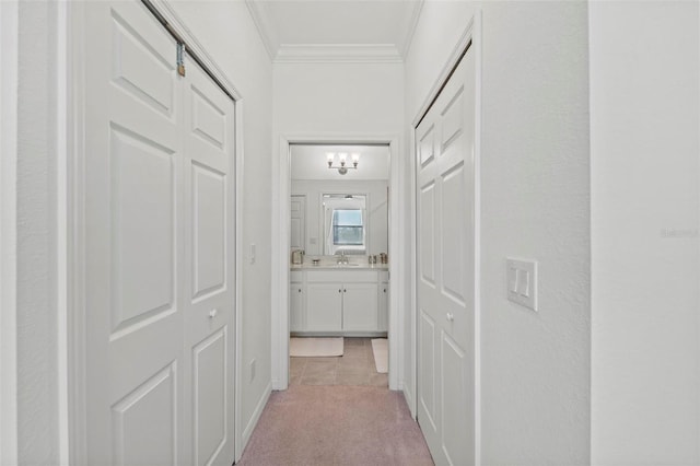 hallway featuring light colored carpet, crown molding, and sink