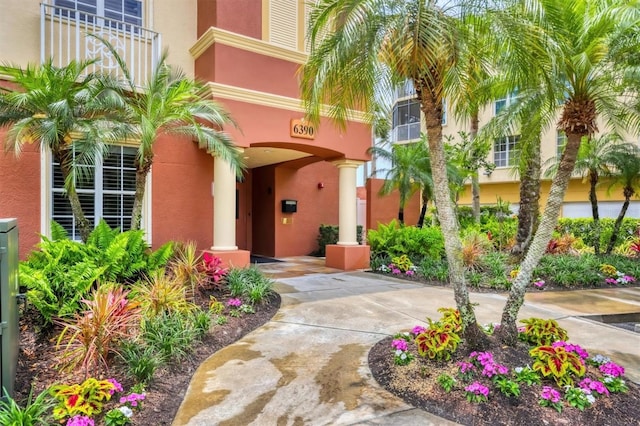 doorway to property featuring stucco siding