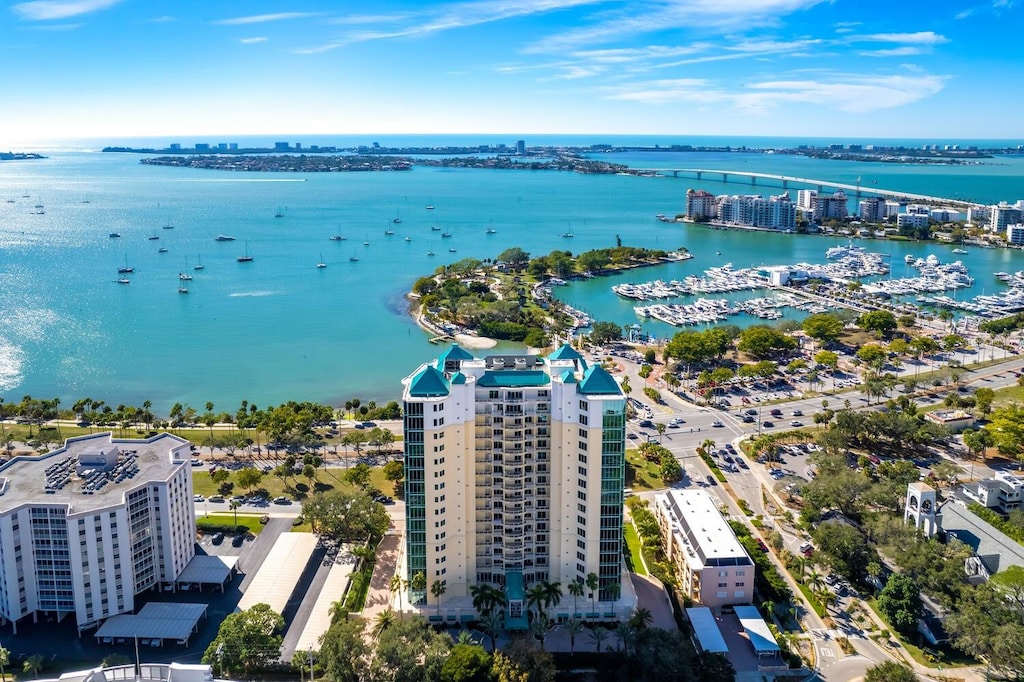 aerial view with a water view