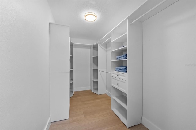 walk in closet featuring light hardwood / wood-style flooring