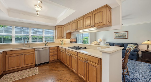 kitchen featuring sink, a raised ceiling, kitchen peninsula, a breakfast bar area, and appliances with stainless steel finishes