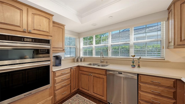 kitchen featuring hardwood / wood-style floors, a raised ceiling, sink, ornamental molding, and stainless steel appliances