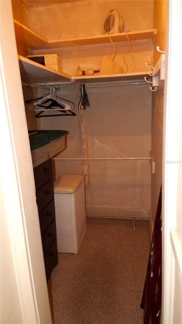 spacious closet with carpet floors