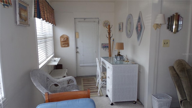 interior space with light colored carpet