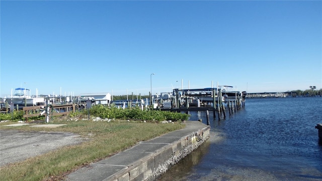 dock area with a water view