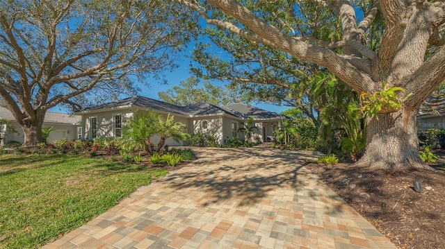 view of front facade with a front lawn and a garage