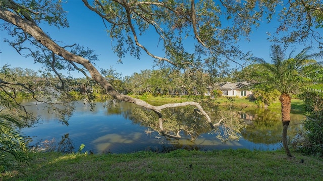 property view of water