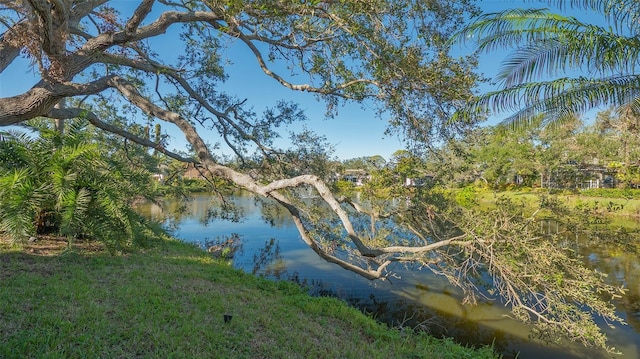 view of water feature