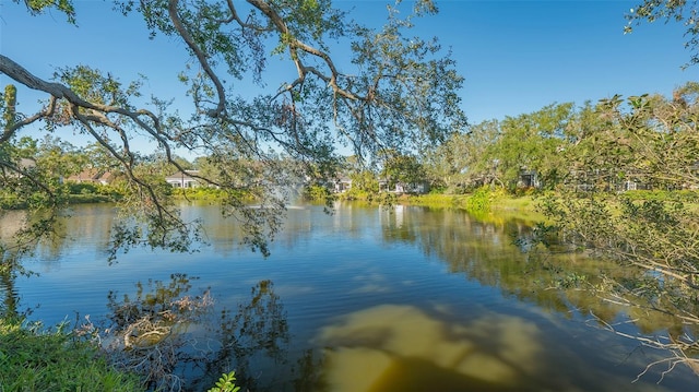 view of water feature