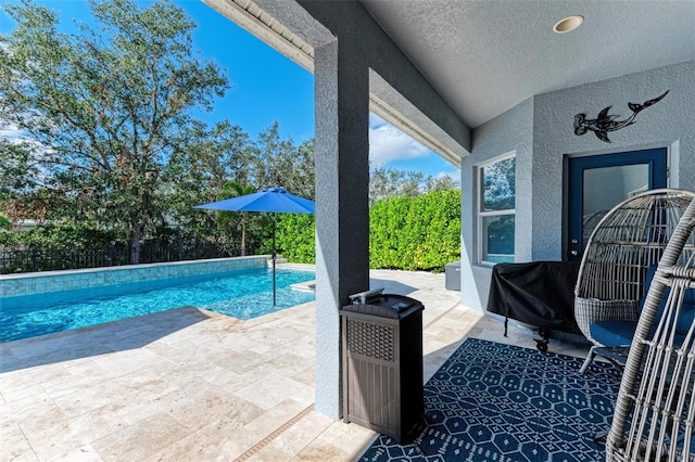 view of swimming pool featuring a patio and area for grilling