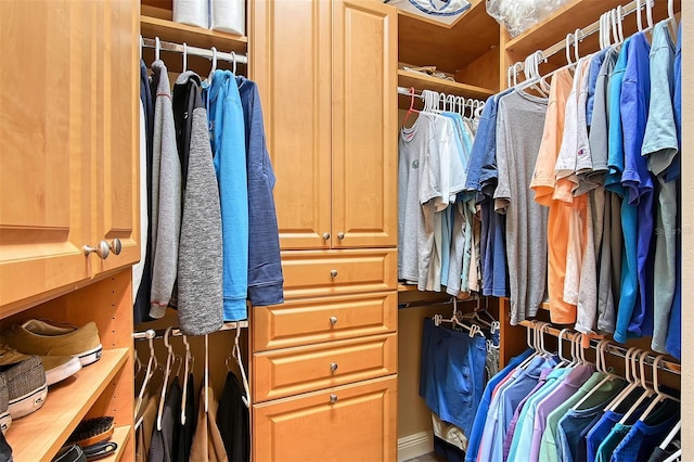 view of spacious closet