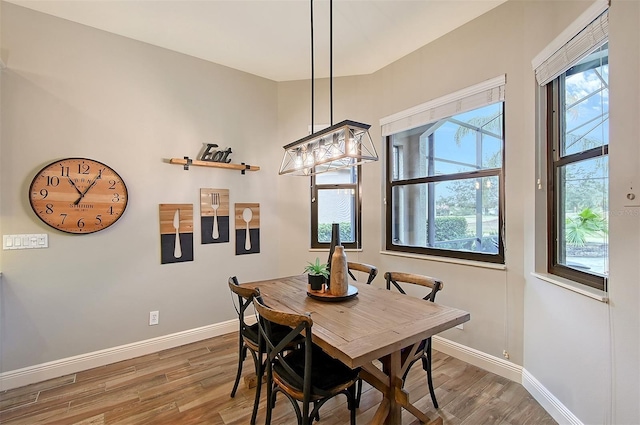 dining space featuring hardwood / wood-style floors