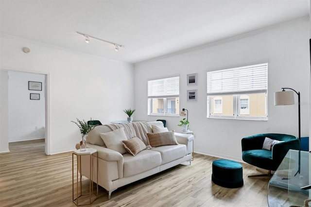 living room featuring light hardwood / wood-style floors and rail lighting