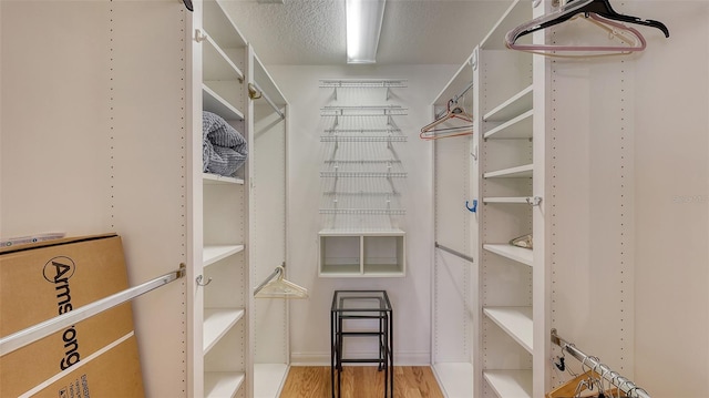 walk in closet featuring wood-type flooring