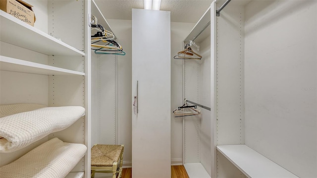 spacious closet featuring hardwood / wood-style flooring