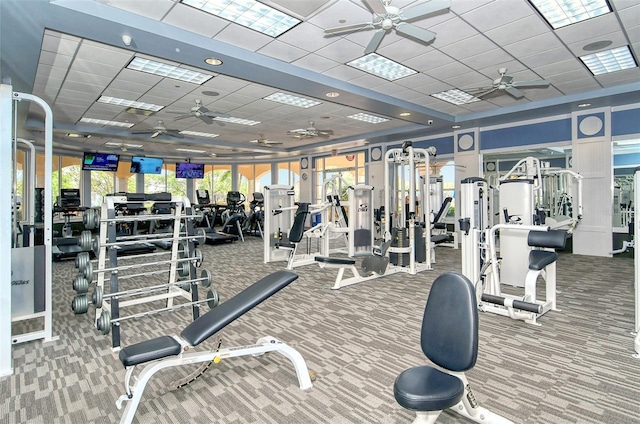 exercise room featuring a paneled ceiling and carpet floors