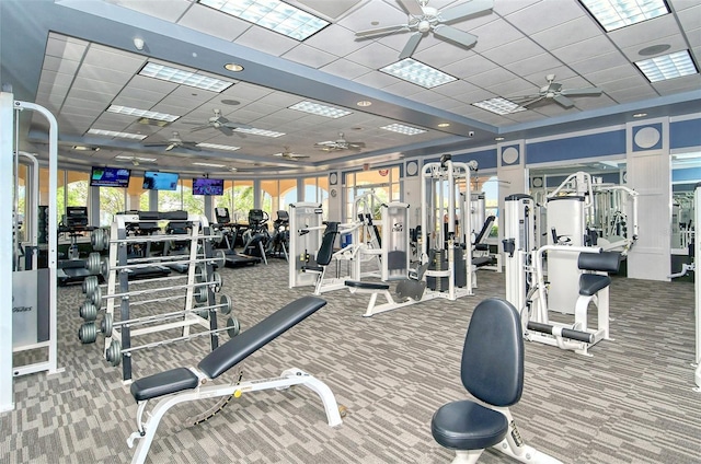 7575 Quinto Dr, Sarasota, FL 34238 - exercise room featuring carpet, a drop ceiling, and ceiling fan