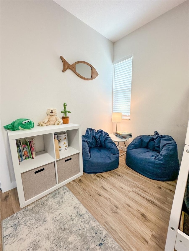 living area featuring wood-type flooring