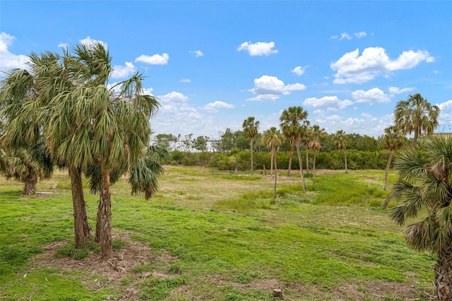 view of nature featuring a rural view