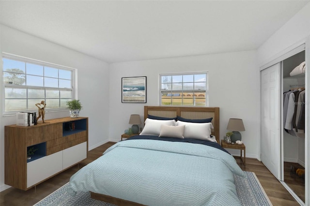 bedroom featuring multiple windows, dark hardwood / wood-style flooring, and a closet